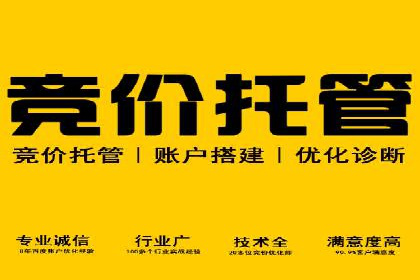 SEM广告投放案例：揭秘高转化率秘诀